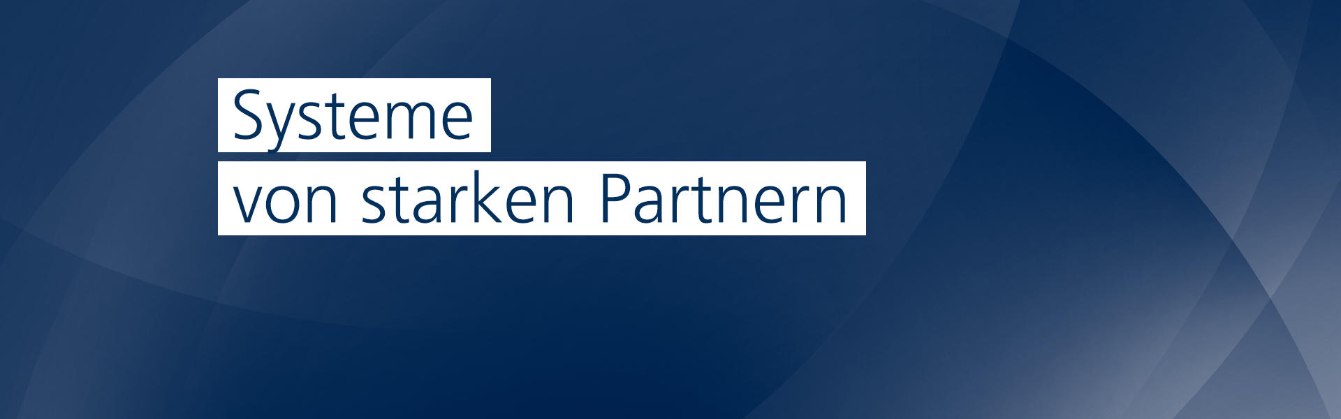 Systeme von starken Partnern Kampmann